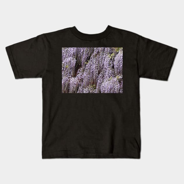 Wisteria Cascades Kids T-Shirt by AlexaZari